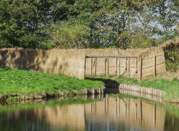 Eenden worden vanuit de vijver in de trechter gedreven