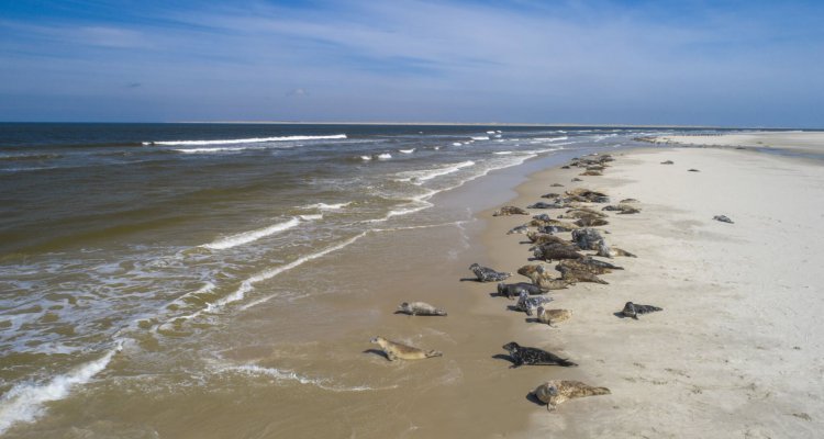 Het Sop laat u de natuur zien van het waddengebied rondom Texel