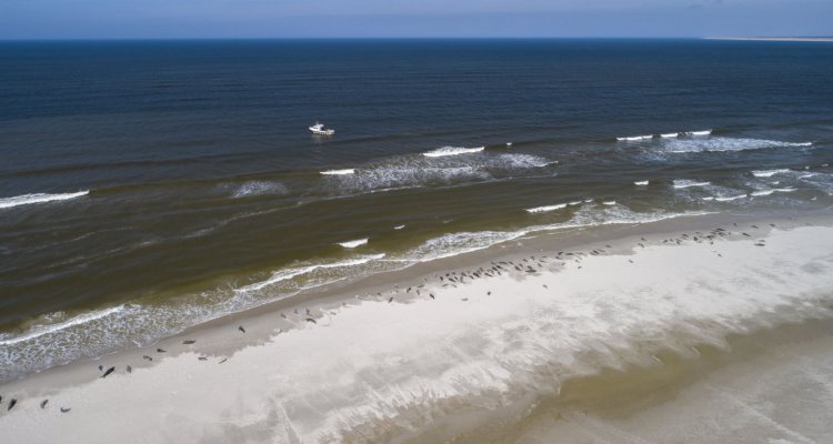 een tocht op het wad met Het Sop