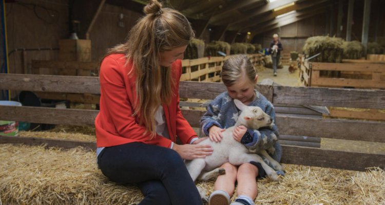 lammetjes knuffelen bij Schapenboerderij Texel