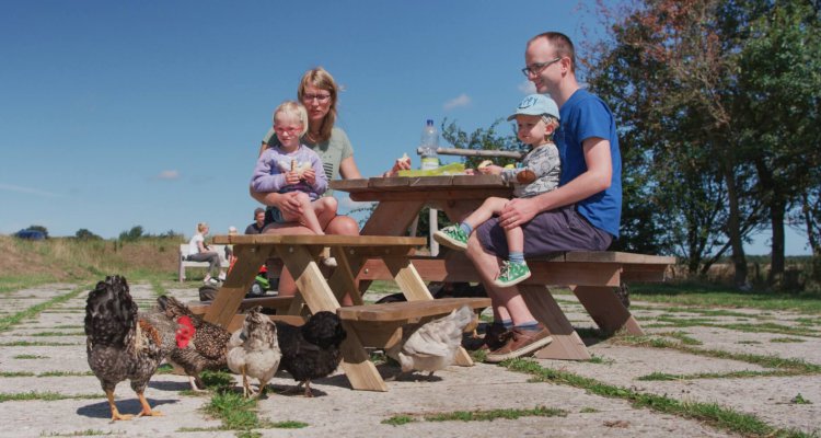 buiten op de Schapenboerderij Texel