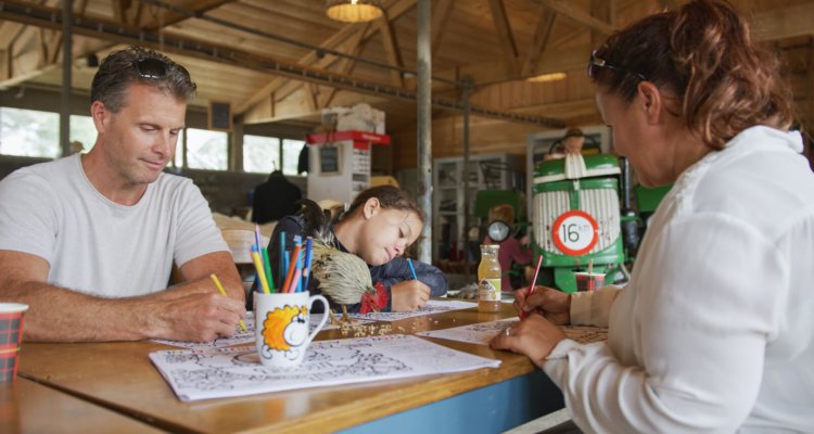 Schapenboerderij Texel voor het hele gezin