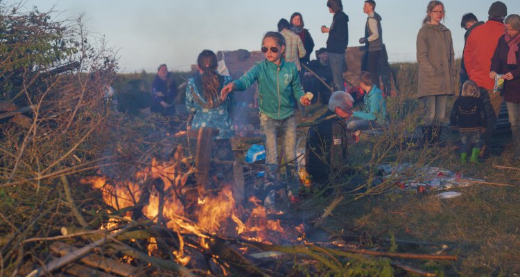 Meierblis Texel