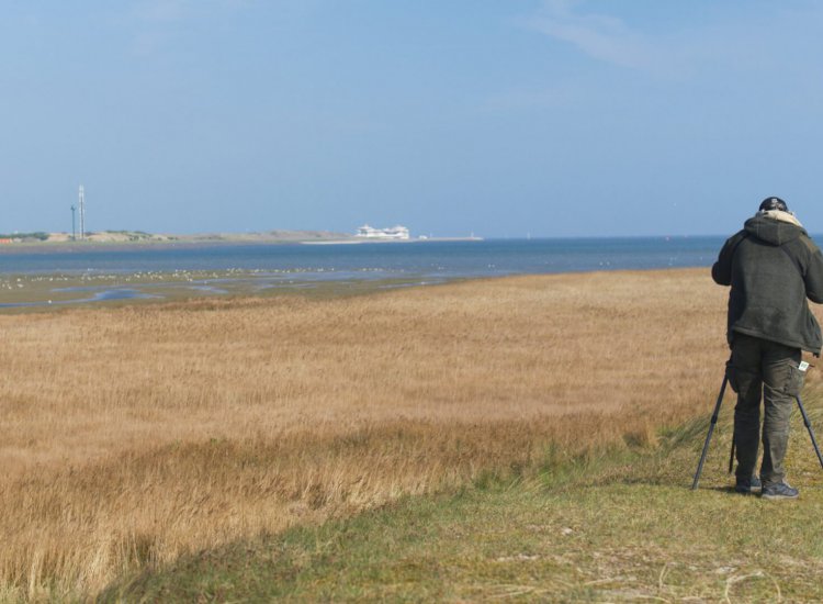 De Mokbaai - Texel Informatie