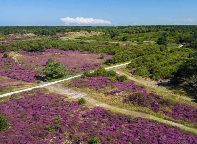 Natuurgebied Texel