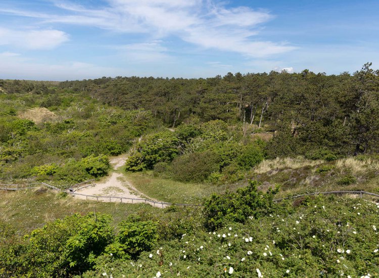 Natuurgebied Texel