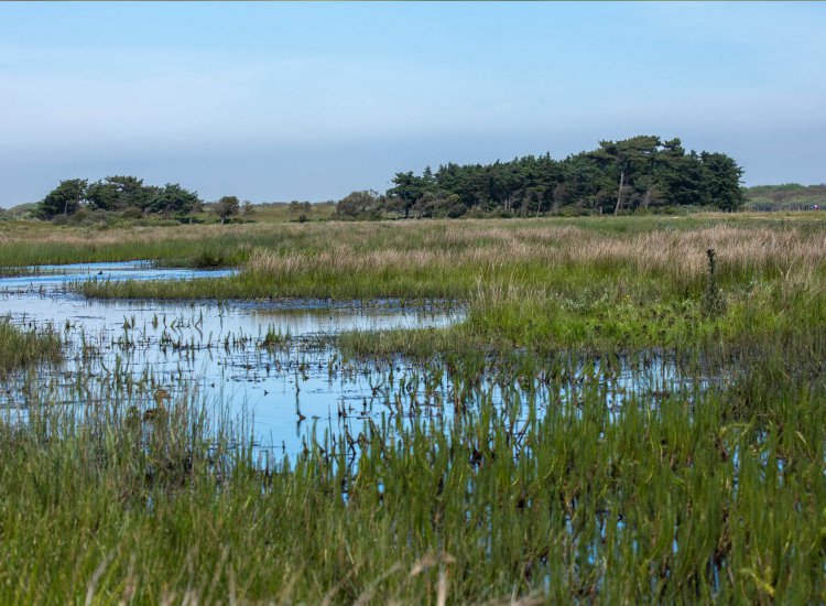 nederlanden-texel