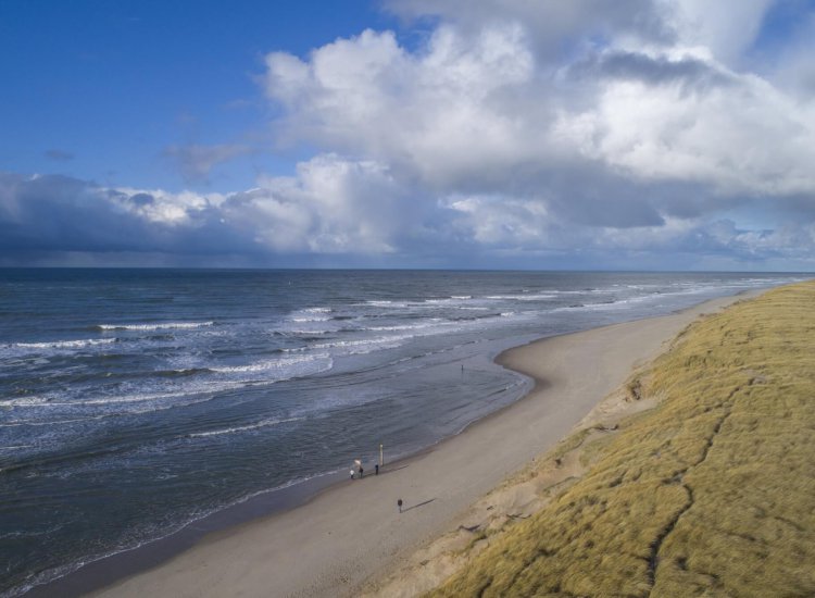 Noordzee en de duinen van Texel