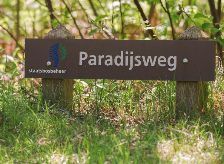 Paradijsweg Texel