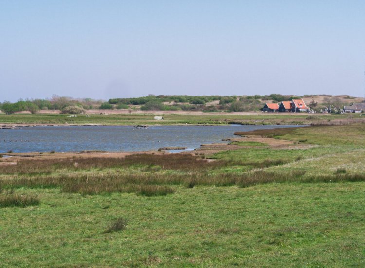 Natuurgebied De Petten