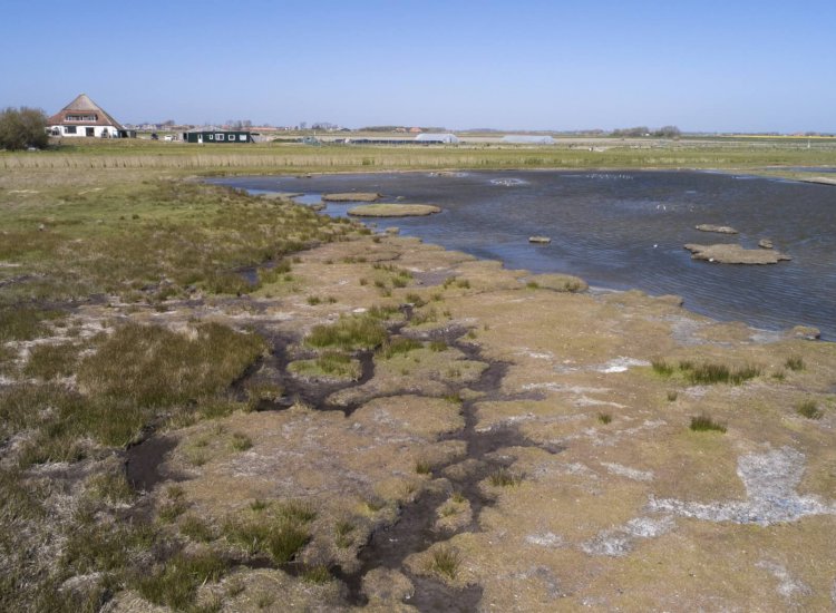 Natuurgebied De Petten op Texel