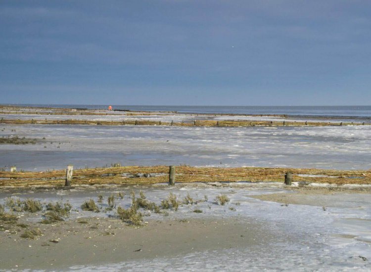 De Schorren is een divers natuurgebied aan de buitendijk van Texel