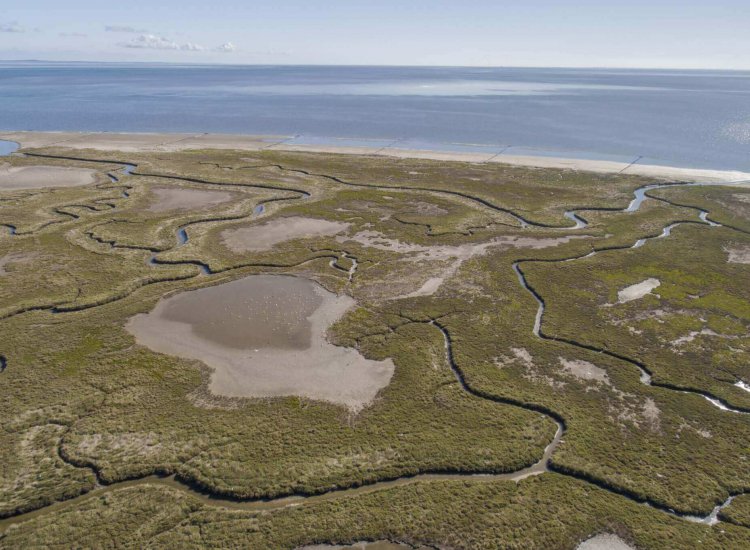 De Schorren aan de waddenkust op Texel