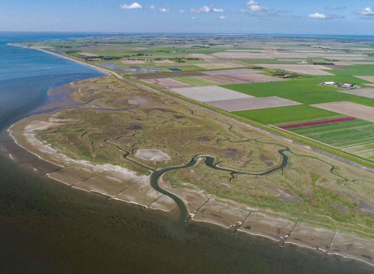 Luchtfoto van natuurgebied De Schorren