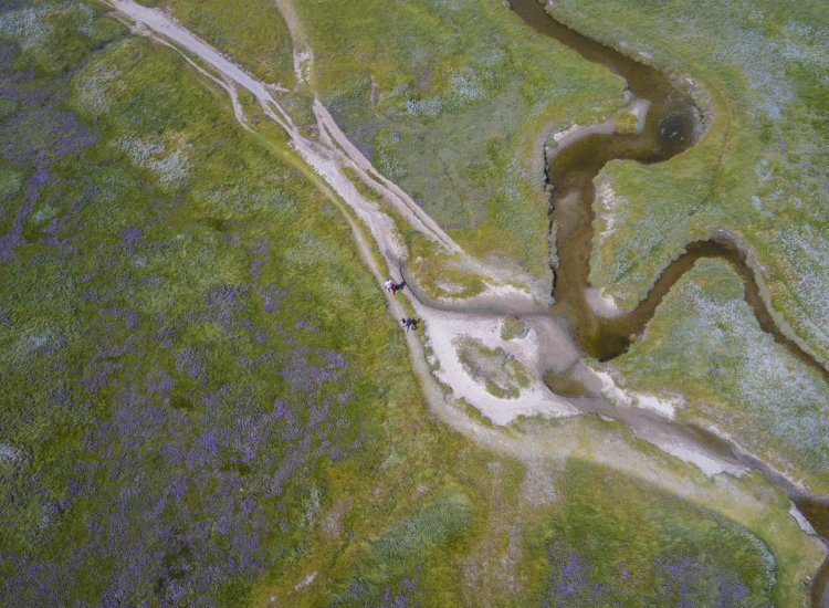 Wandelen in de natuur van De Slufter