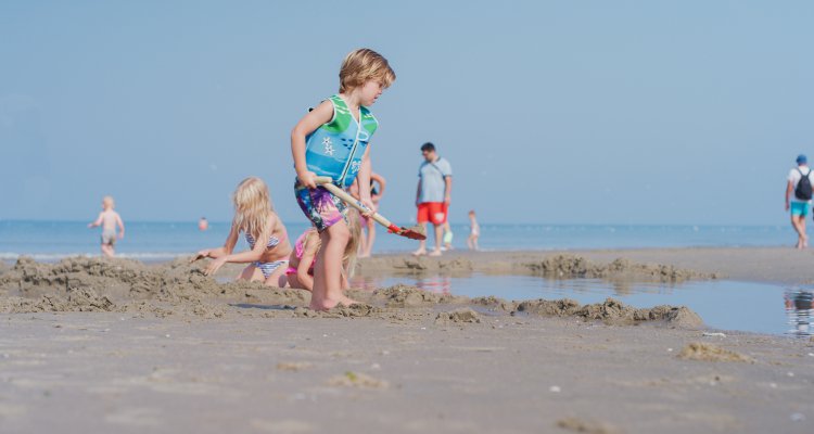 Het strand van Texel - Texel Informatie