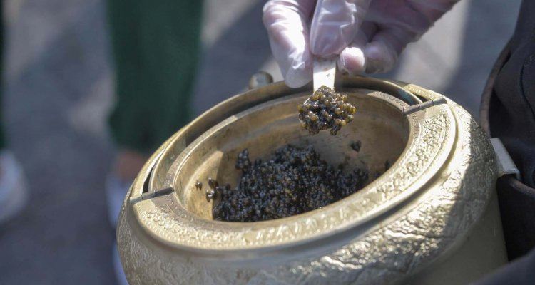 Lekkernijen op Texel Culinair