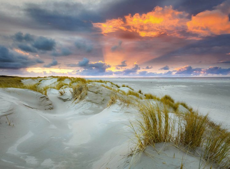 Texel Duinen Strand Ondergaande Zon