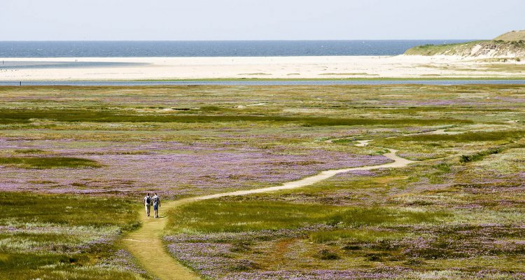 Wandelen in de slufter