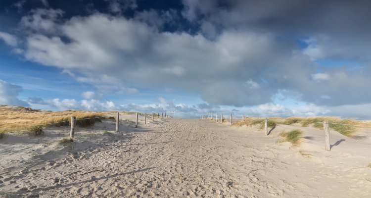 path on sand and beaufirul blue sky, Texel, Netherlands