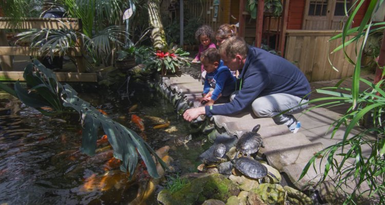 schildpadden en vissen bij Texel Zoo