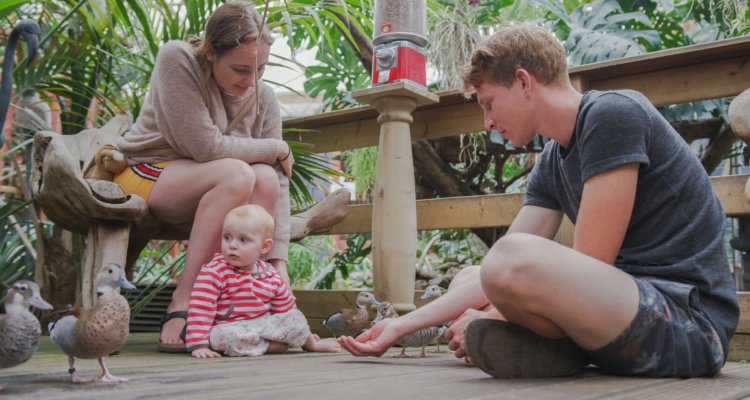 Texel Zoo voor het hele gezin