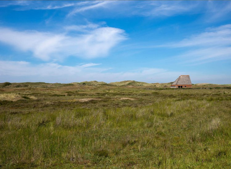 uitzicht texel