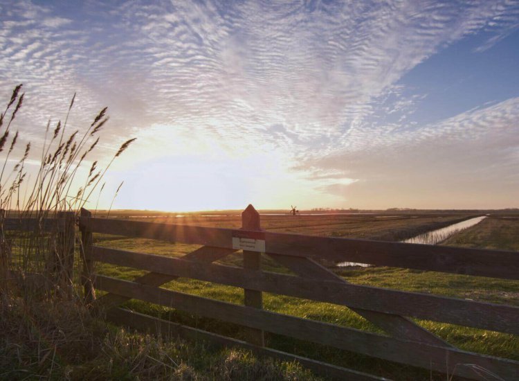 Zonsopgang in natuurgebied Waalenburg