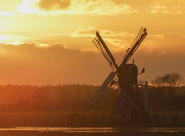 Zonsondergang in natuurgebied Waalenburg