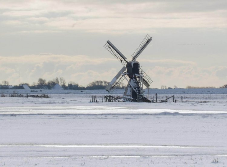 Natuurgebied Waalenburg in de winter