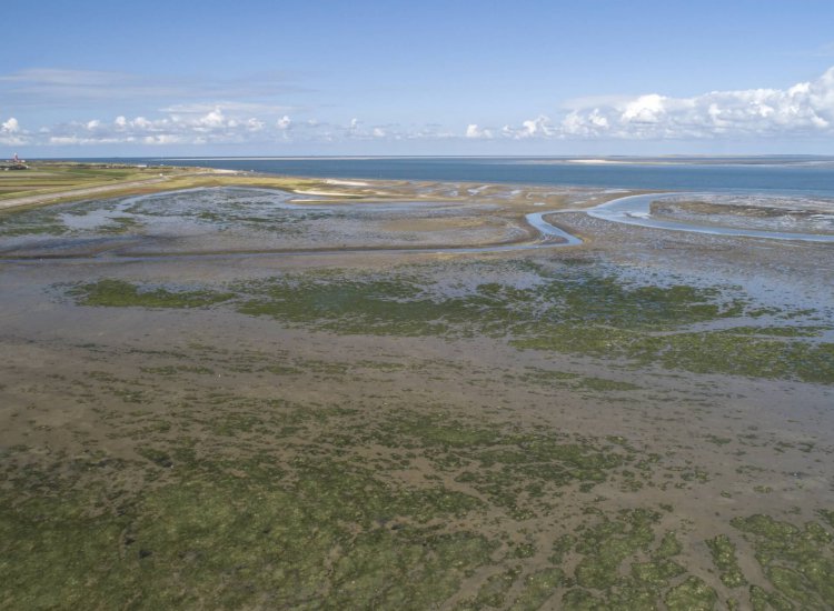 Waddenzee bij de noordoostkant van Texel