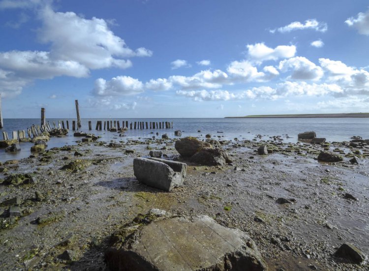 De prachtige natuur van de Waddenzee