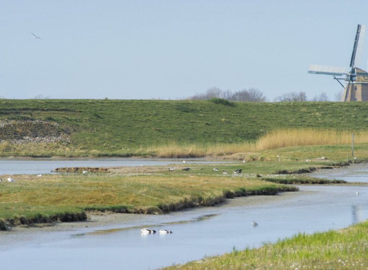 Natuurgebied Wagejot