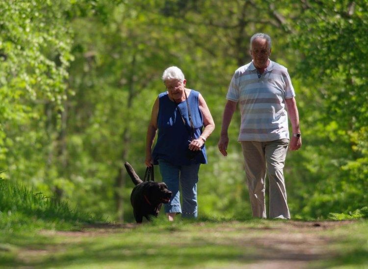 wandelen-hond-texel