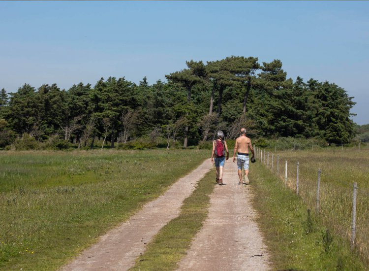 Wandelen Texel