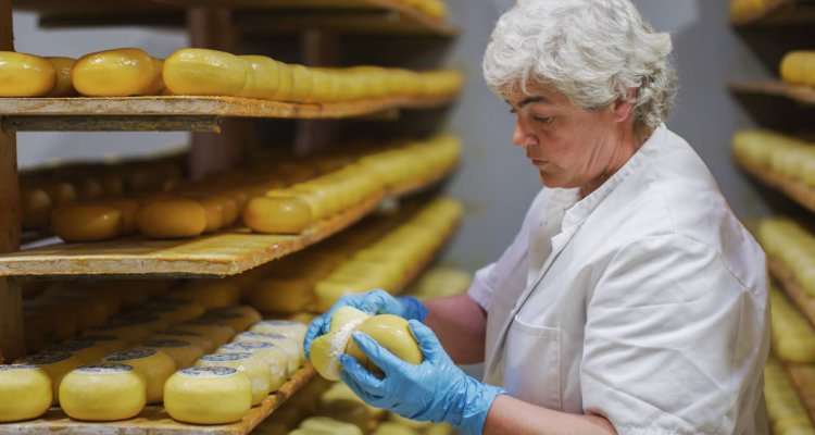 Wezenspyk kaas moet rijpen