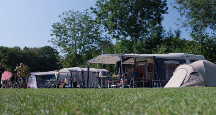 Camping 't Woutershok in het bos