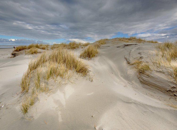 Zand Duinen Texel