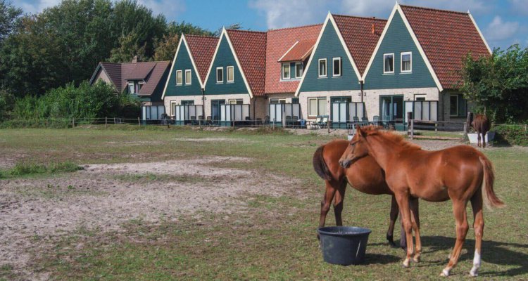 Hoeve Landleven heeft uitzicht op de paarden